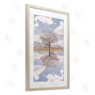 Robin Vandenabeele | Lone Tree & Clouds Reflection