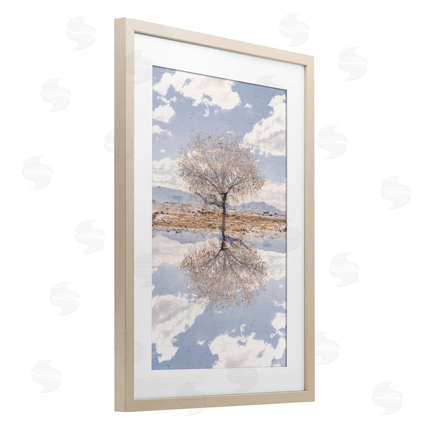 Robin Vandenabeele | Lone Tree & Clouds Reflection