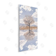 Robin Vandenabeele | Lone Tree & Clouds Reflection