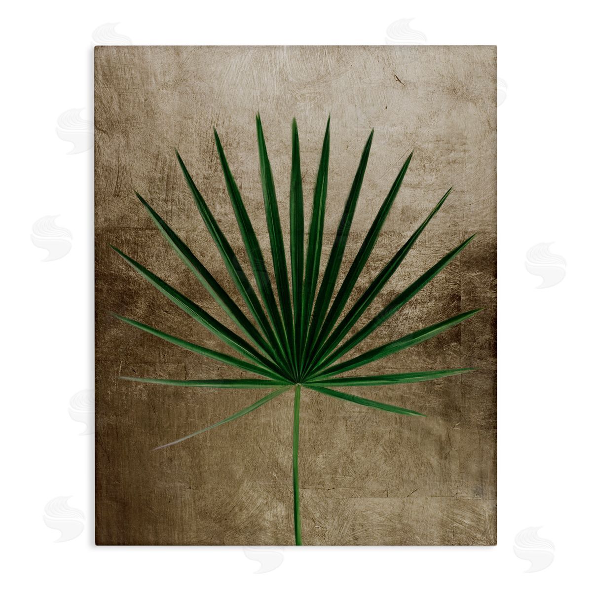 Anna Lischenko Earthy Fan Palm Canvas Wall Art Print