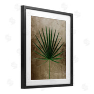 Anna Lischenko | Earthy Fan Palm