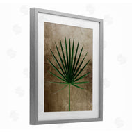 Anna Lischenko | Earthy Fan Palm