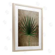 Anna Lischenko | Earthy Fan Palm