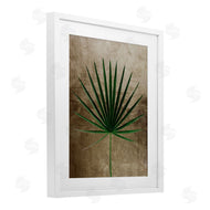 Anna Lischenko | Earthy Fan Palm