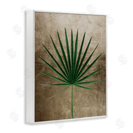 Anna Lischenko | Earthy Fan Palm