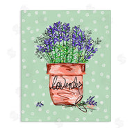 Susan Lugar | Lavender Herb in Pot