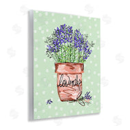 Susan Lugar | Lavender Herb in Pot