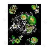 Susan Lugar | Sliced Limes Juicer