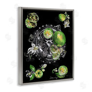 Susan Lugar | Sliced Limes Juicer