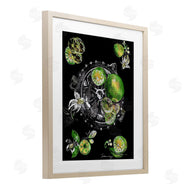 Susan Lugar | Sliced Limes Juicer