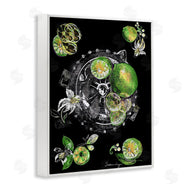 Susan Lugar | Sliced Limes Juicer