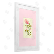 Pooja Dave | Single Budding Flower