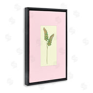 Pooja Dave | Herb Sprig over Pink