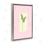Pooja Dave | Herb Sprig over Pink