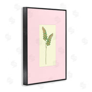 Pooja Dave | Herb Sprig over Pink