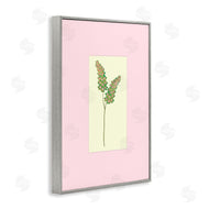 Pooja Dave | Herb Sprig over Pink