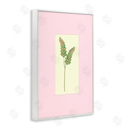 Pooja Dave | Herb Sprig over Pink