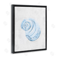 Camila Juncos | Subtle Spiral Sea Snail