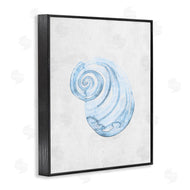 Camila Juncos | Subtle Spiral Sea Snail