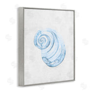 Camila Juncos | Subtle Spiral Sea Snail