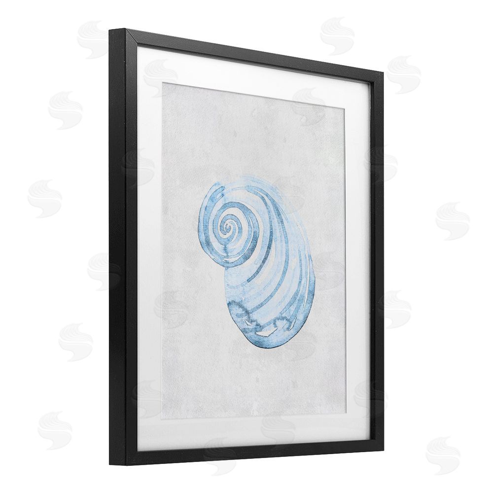 Camila Juncos Subtle Spiral Sea Snail Black Framed Print Under Glass Art
