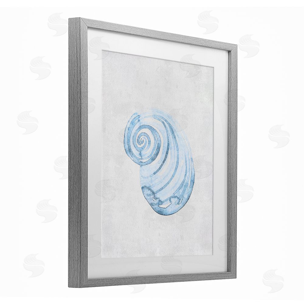 Camila Juncos Subtle Spiral Sea Snail Gray Framed Print Under Glass Art
