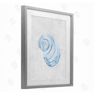 Camila Juncos | Subtle Spiral Sea Snail