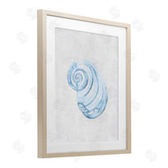 Camila Juncos | Subtle Spiral Sea Snail