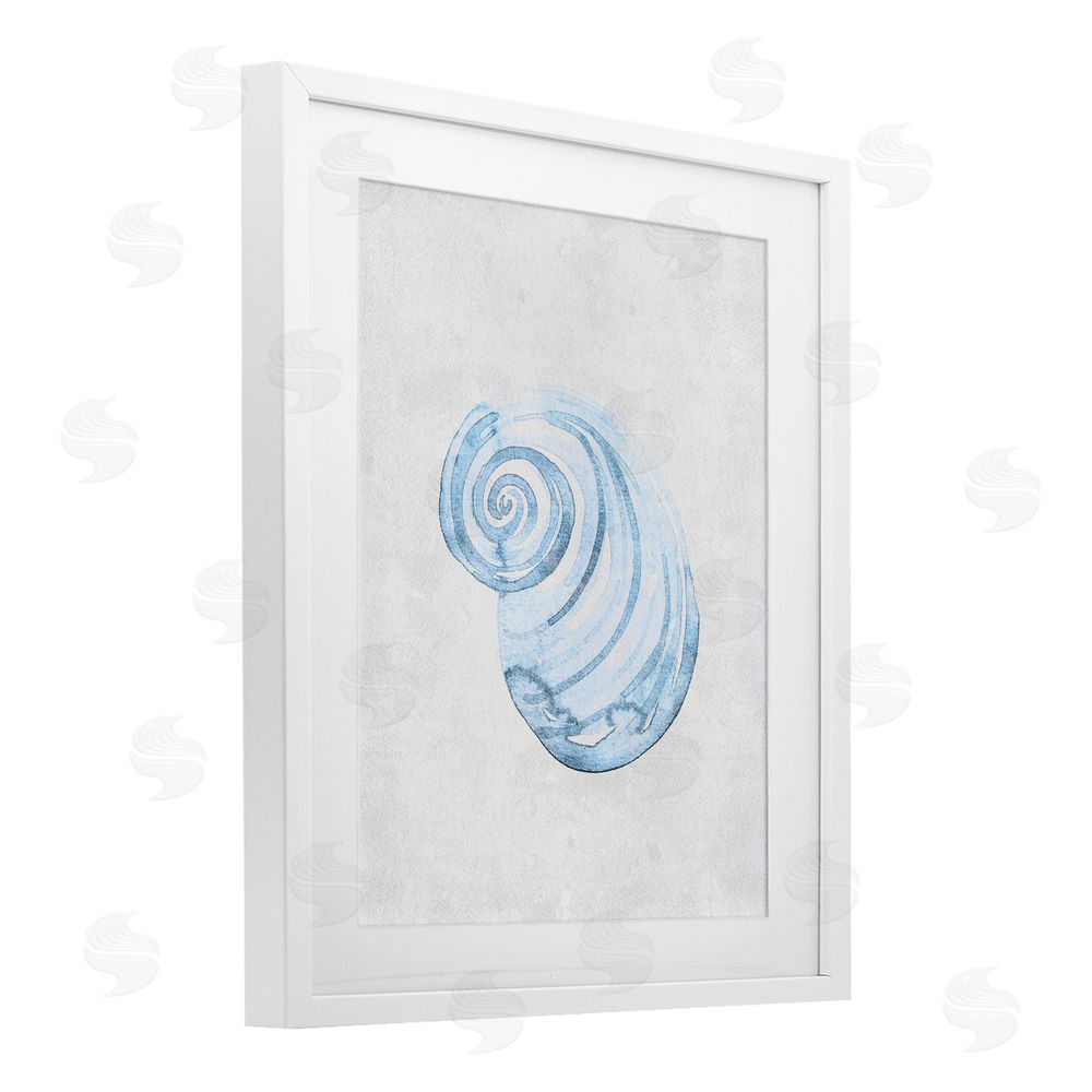 Camila Juncos Subtle Spiral Sea Snail White Framed Print Under Glass Art