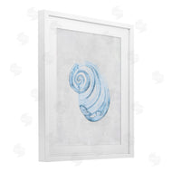 Camila Juncos | Subtle Spiral Sea Snail