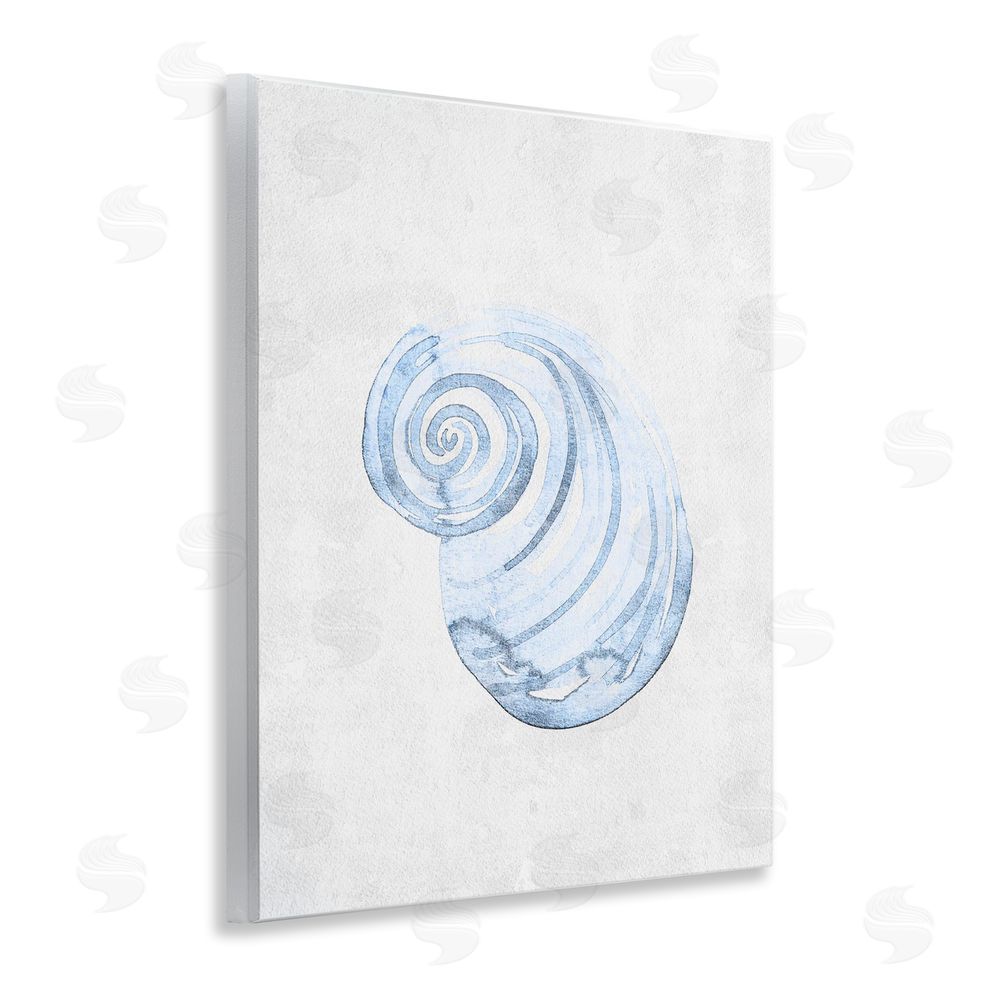 Camila Juncos Subtle Spiral Sea Snail Wall Plaque Art Print