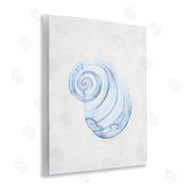 Camila Juncos | Subtle Spiral Sea Snail
