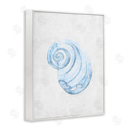 Camila Juncos | Subtle Spiral Sea Snail