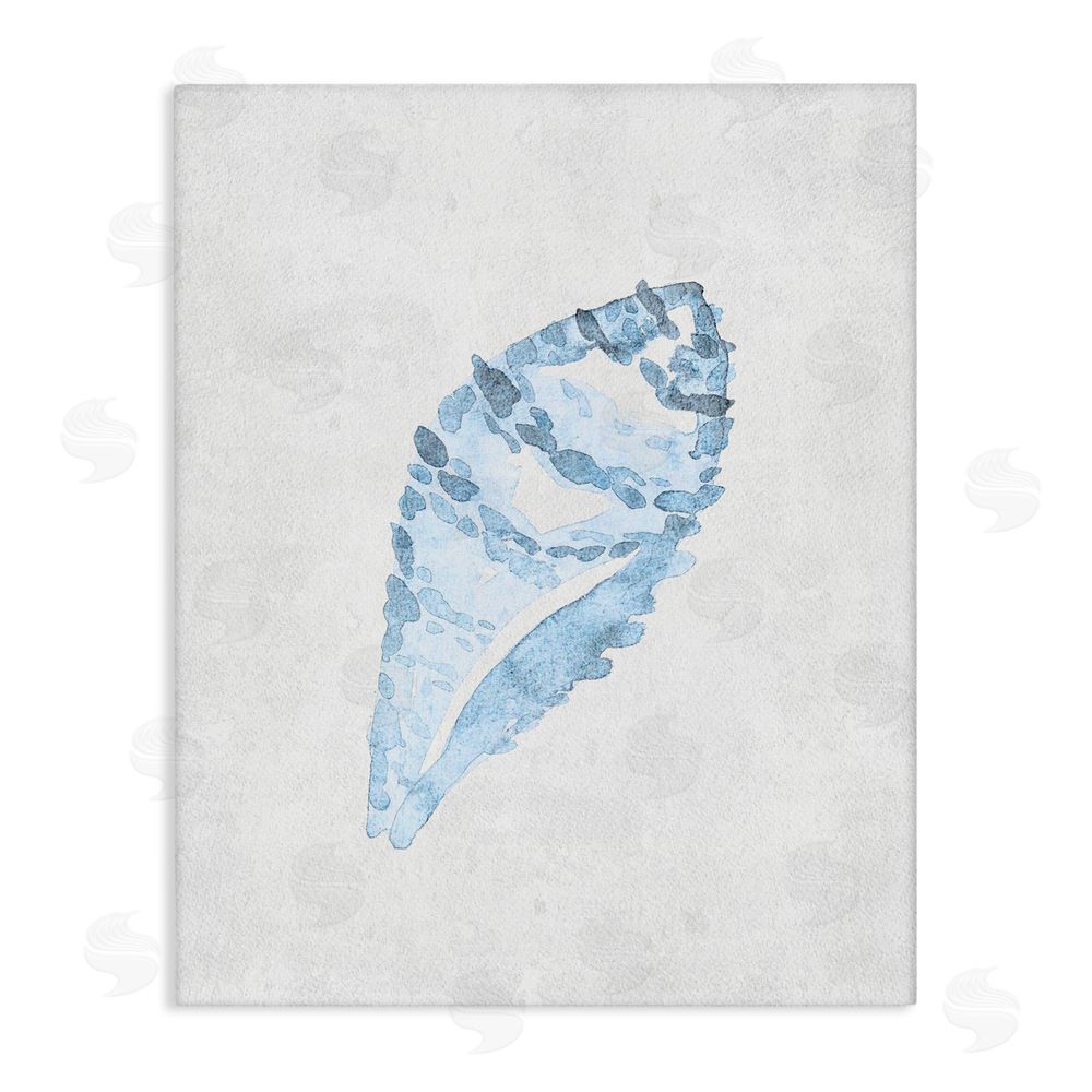 Camila Juncos Sea Snail Seashell Canvas Wall Art Print
