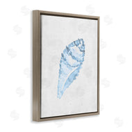 Camila Juncos | Sea Snail Seashell