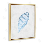 Camila Juncos | Sea Snail Seashell