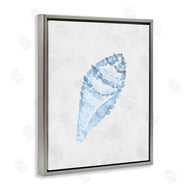 Camila Juncos | Sea Snail Seashell
