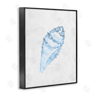 Camila Juncos | Sea Snail Seashell