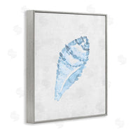 Camila Juncos | Sea Snail Seashell