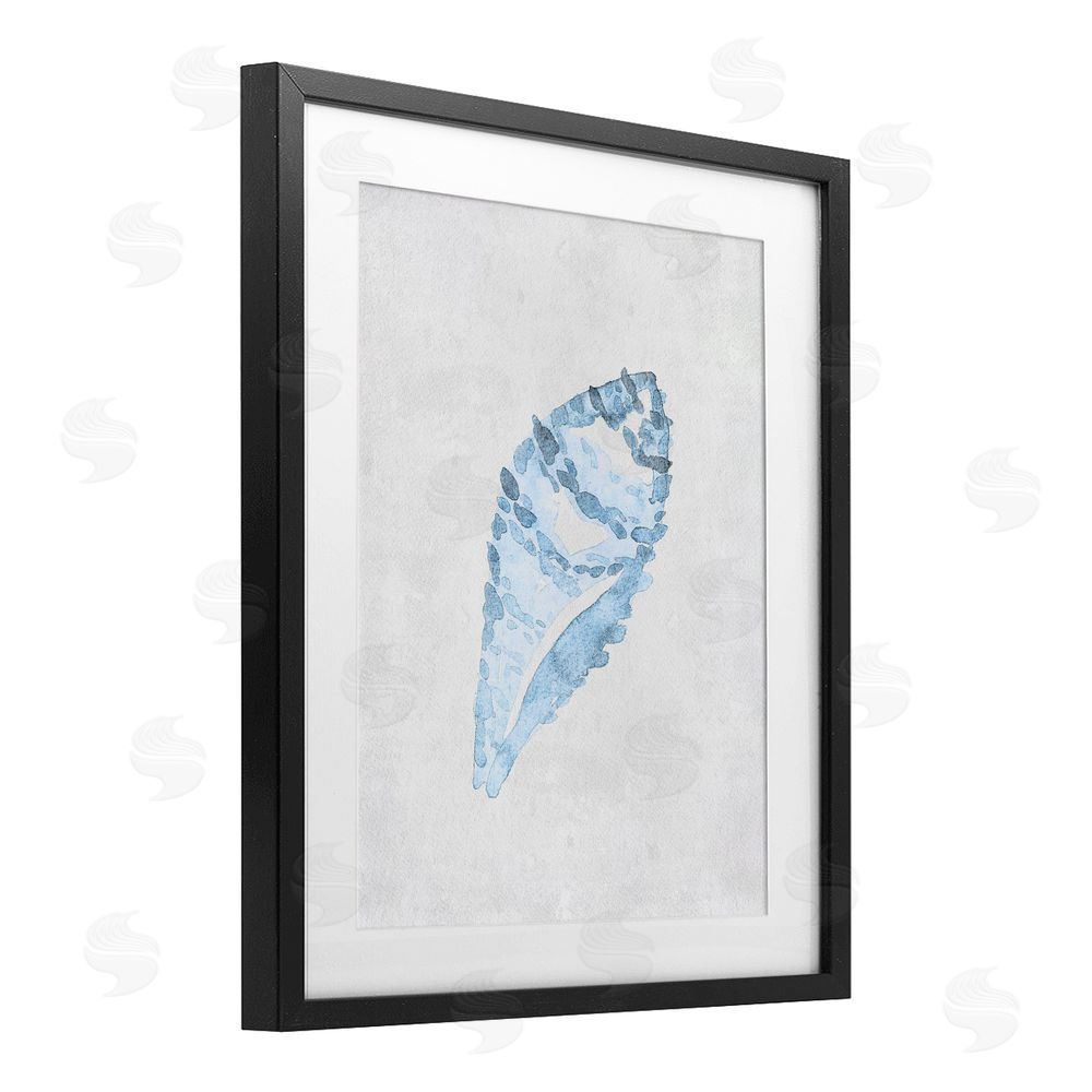 Camila Juncos Sea Snail Seashell Black Framed Print Under Glass Art