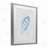 Camila Juncos | Sea Snail Seashell