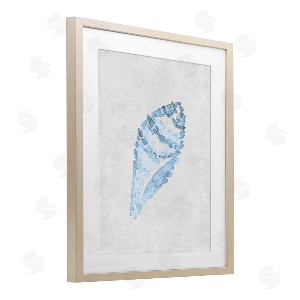 Camila Juncos Sea Snail Seashell Birch Framed Print Under Glass Art
