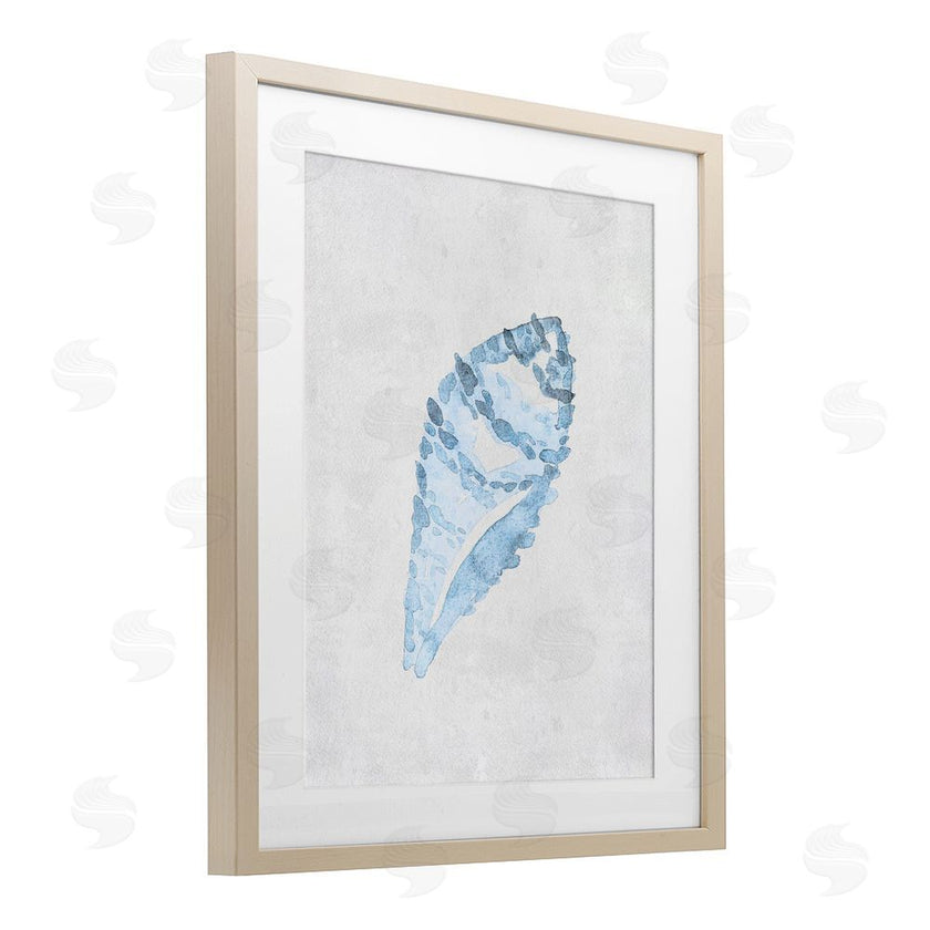 Camila Juncos | Sea Snail Seashell