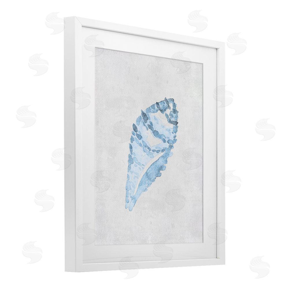 Camila Juncos Sea Snail Seashell White Framed Print Under Glass Art