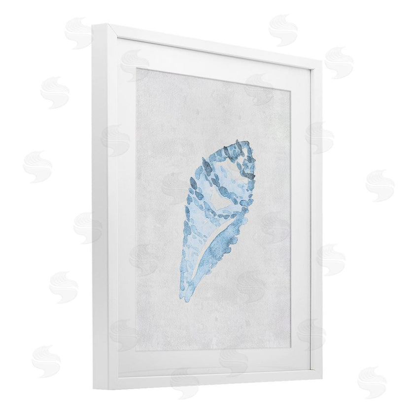 Camila Juncos | Sea Snail Seashell