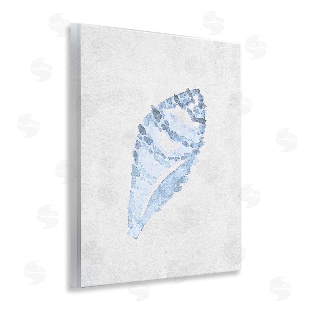 Camila Juncos Sea Snail Seashell Wall Plaque Art Print