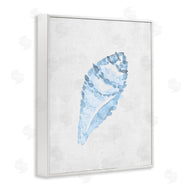 Camila Juncos | Sea Snail Seashell
