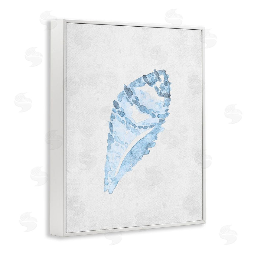 Camila Juncos | Sea Snail Seashell