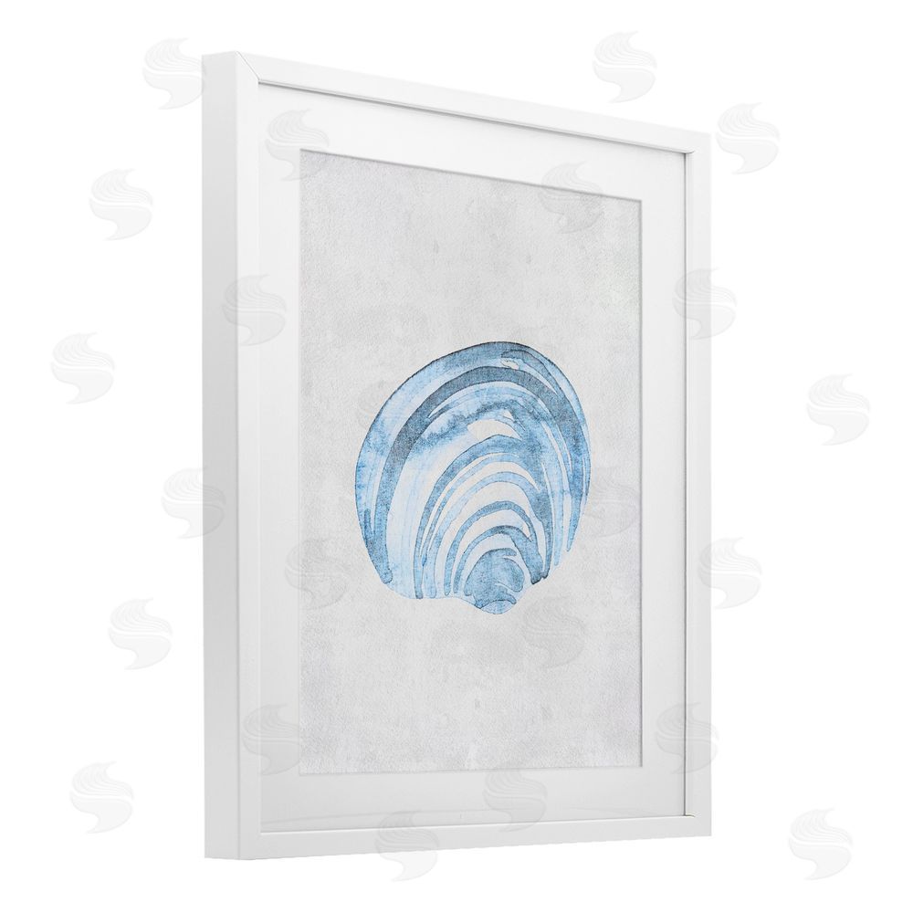 Camila Juncos Sea Snail Subtle Blue White Framed Print Under Glass Art