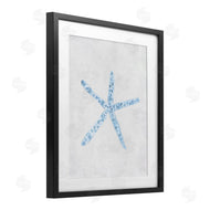 Camila Juncos | Starfish with Thin Arms